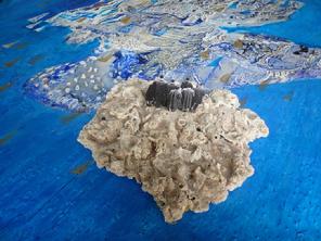 Lost Archipelago, Photography, 30 x 40 cm, 2007, Lilya Pavlovic-Dear